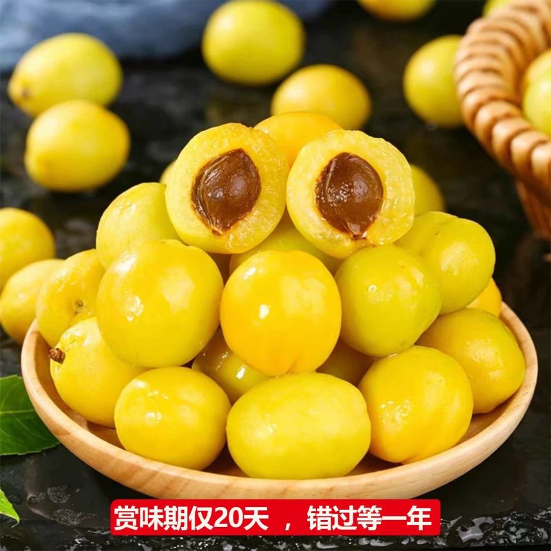 新疆吐鲁番小白杏轮台应当季新鲜纯甜杏子孕妇水果