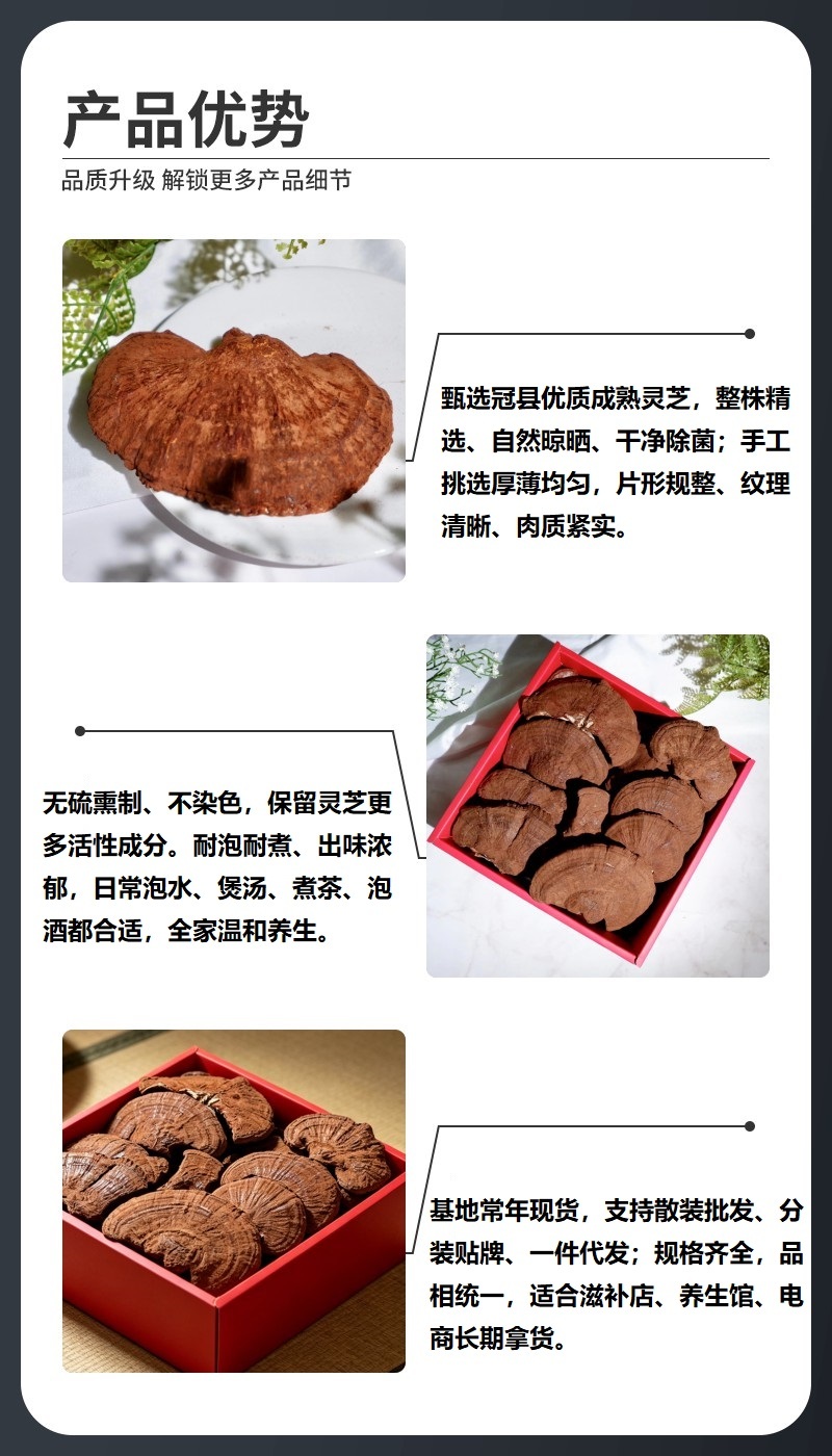 山东灵芝批发带孢子粉灵芝不苦药厂投料灵芝煲汤泡酒