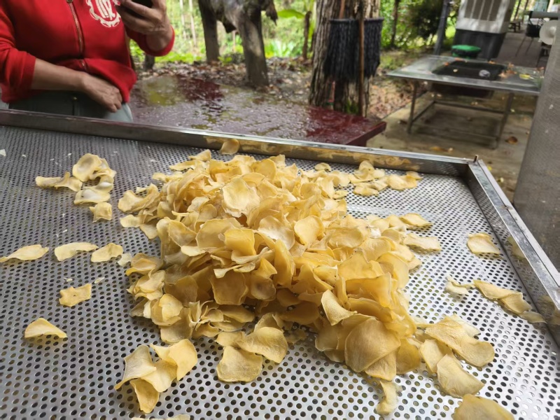 干土豆片柴火炕，保质保量，可视频看货，欢迎来电咨询下单