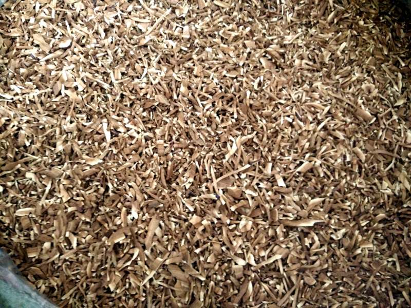 批发灵芝茶丝灵芝袋泡茶原料灵芝切丝灵芝粒灵芝碎
