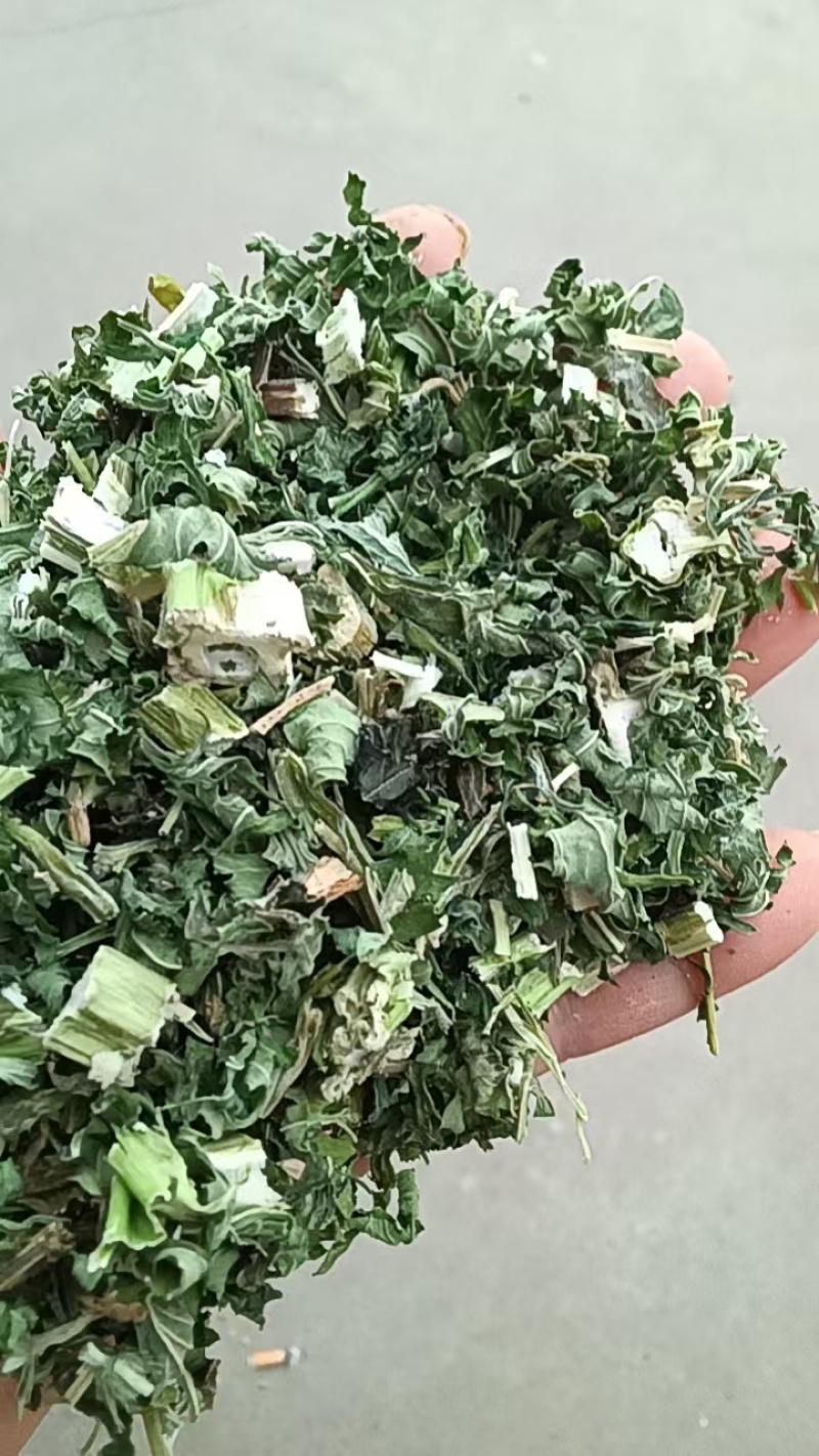 益母草干中药材晒干益母草泡水泡脚量大价优欢迎联系