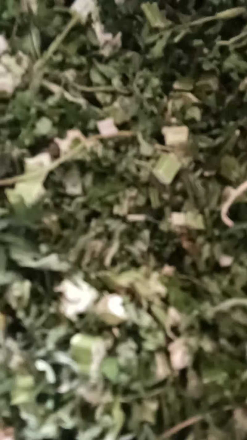 益母草干中药材晒干益母草泡水泡脚量大价优欢迎联系