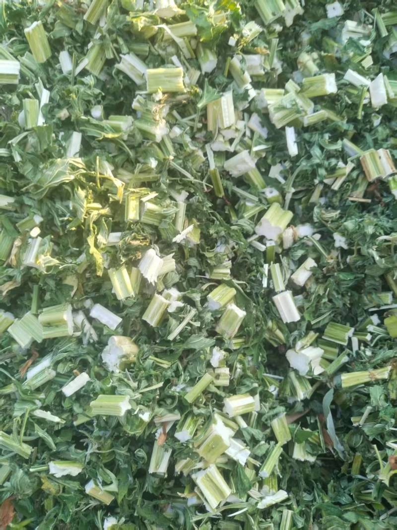 益母草干中药材晒干益母草泡水泡脚量大价优欢迎联系