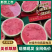 无籽美都麒麟西瓜小薄皮，双红壤，支持视频看货，全国代发价
