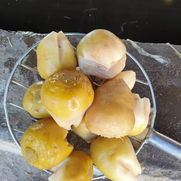 山东芥菜疙瘩腌制芥菜一手货源质量保证量大从优