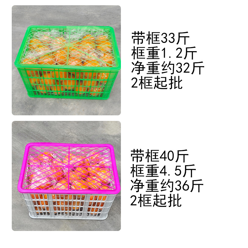 湖北秭归夏橙整框批发新鲜橙子现摘现发