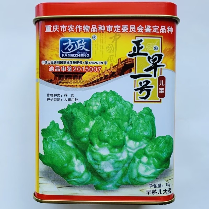 正早一号儿菜种子正品儿菜种籽娃娃菜种子四川重庆儿菜种子