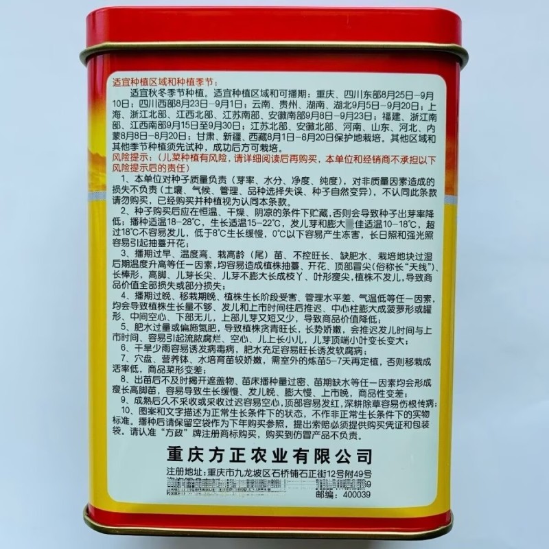 正早一号儿菜种子正品儿菜种籽娃娃菜种子四川重庆儿菜种子