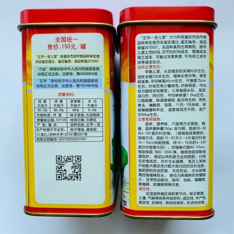 正早一号儿菜种子正品儿菜种籽娃娃菜种子四川重庆儿菜种子