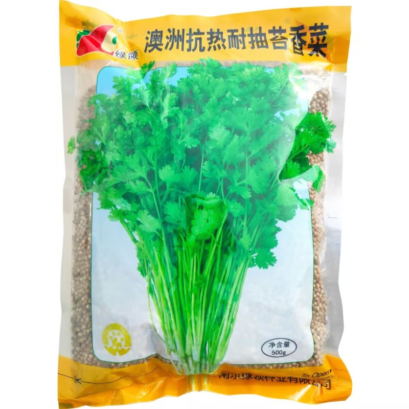 香菜种子香菜籽绿领抗热耐抽薹四季大叶铁杆香菜种子四季种