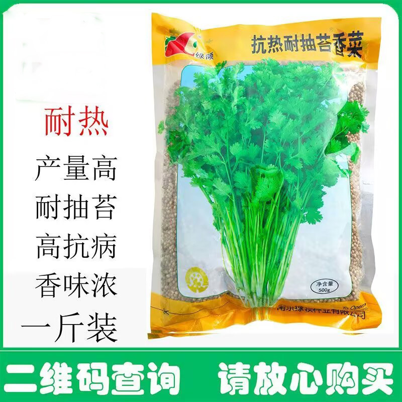 香菜种子香菜籽绿领抗热耐抽薹四季大叶铁杆香菜种子四季种