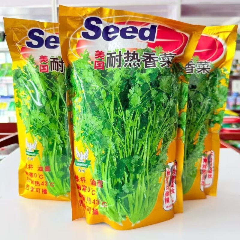美国耐热香菜种子500g四季耐热耐寒大叶香菜种子铁杆芫荽