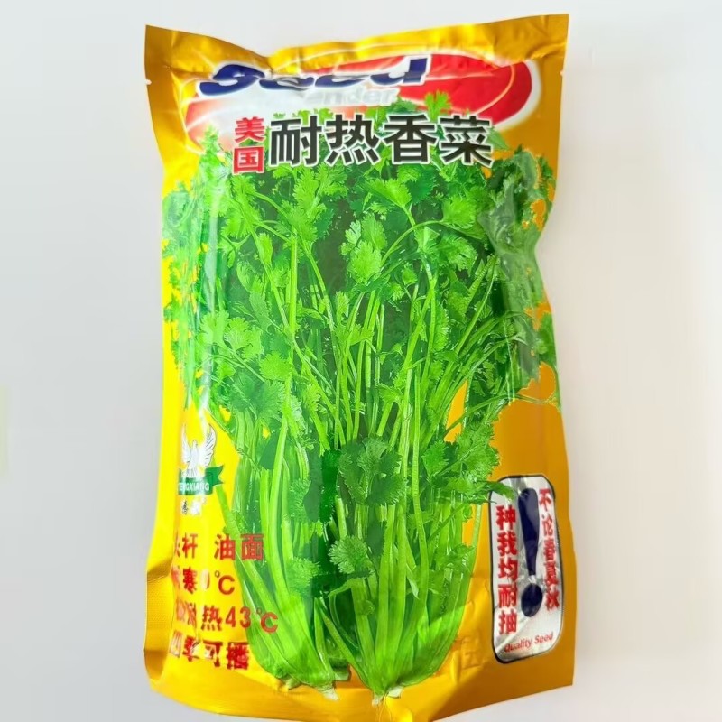 美国耐热香菜种子500g四季耐热耐寒大叶香菜种子铁杆芫荽