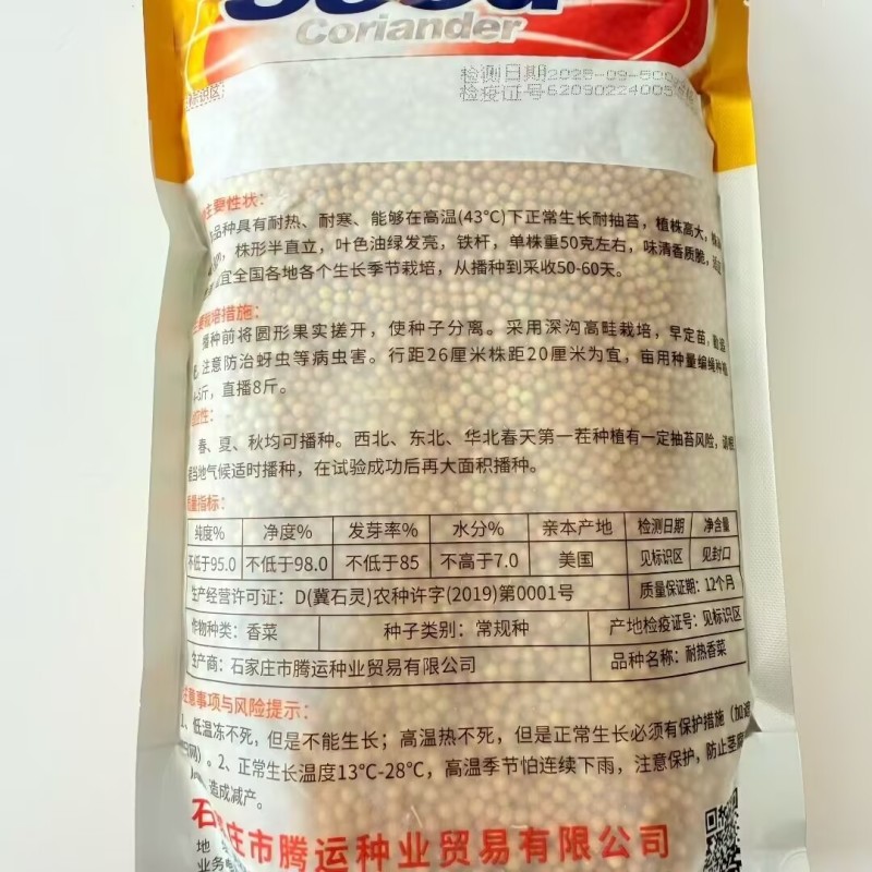 美国耐热香菜种子500g四季耐热耐寒大叶香菜种子铁杆芫荽