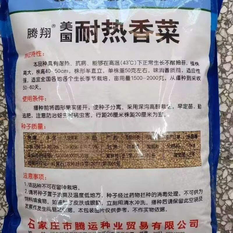 美国耐热香菜种子10斤原装四季耐热大叶香菜种籽夏播耐高温