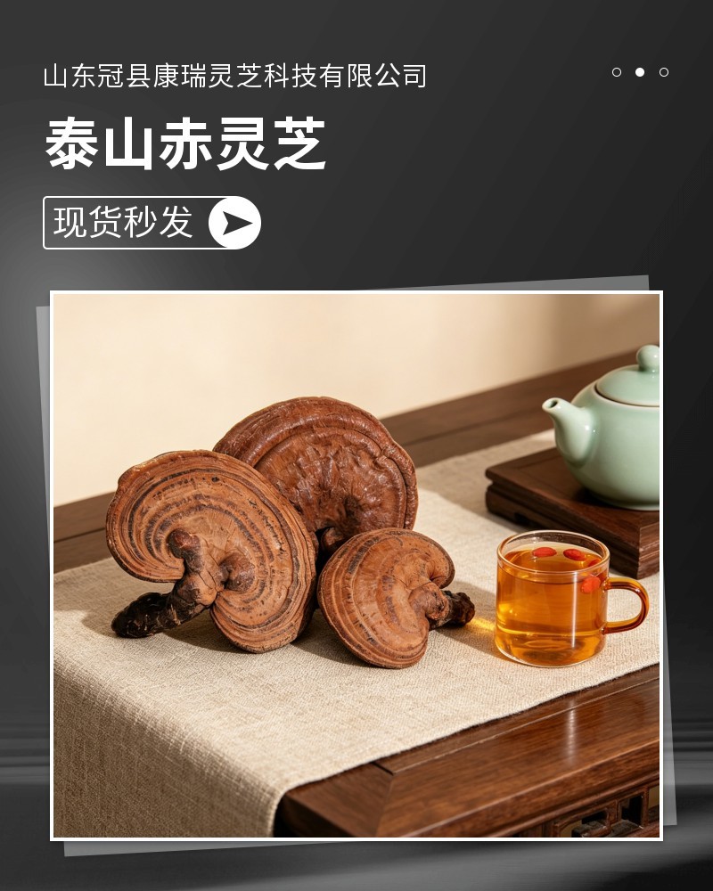 泰山赤灵芝大片整朵带粉红灵芝冠县产地直发整朵大片