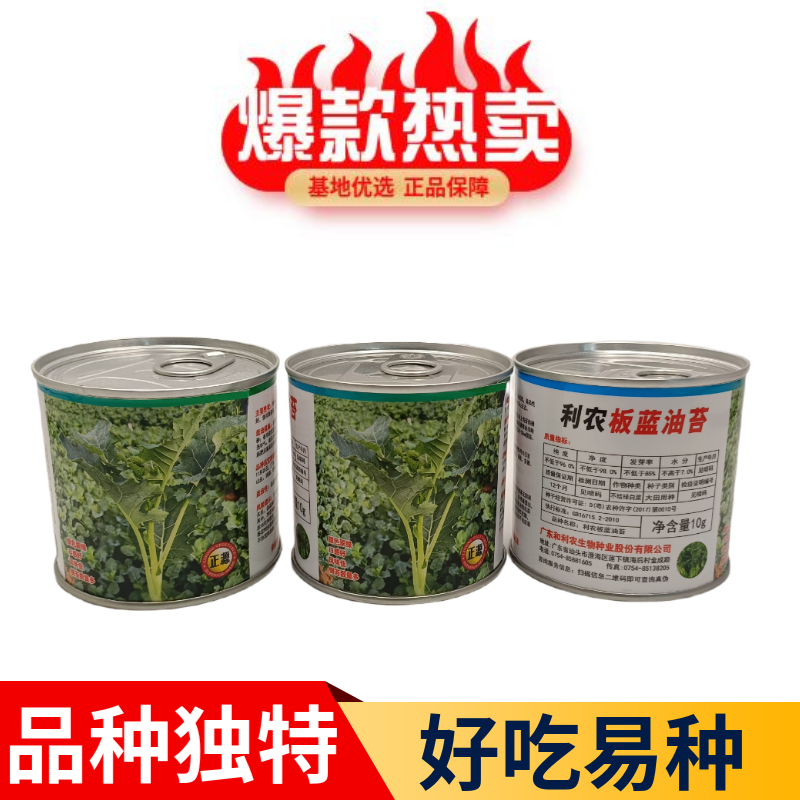 【正源】利农板蓝油苔正宗板蓝根菜苔种子板蓝根青菜基地正品