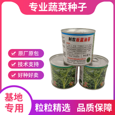 【正源】利农板蓝油苔正宗板蓝根菜苔种子板蓝根青菜基地正品