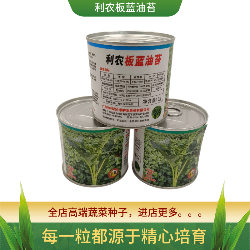 【正源】利农板蓝油苔正宗板蓝根菜苔种子板蓝根青菜基地正品