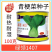 绿领1407青梗菜种子春夏秋季播种高产耐热耐湿农家大田基