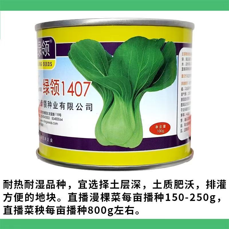 绿领1407青梗菜种子春夏秋季播种高产耐热耐湿农家大田基