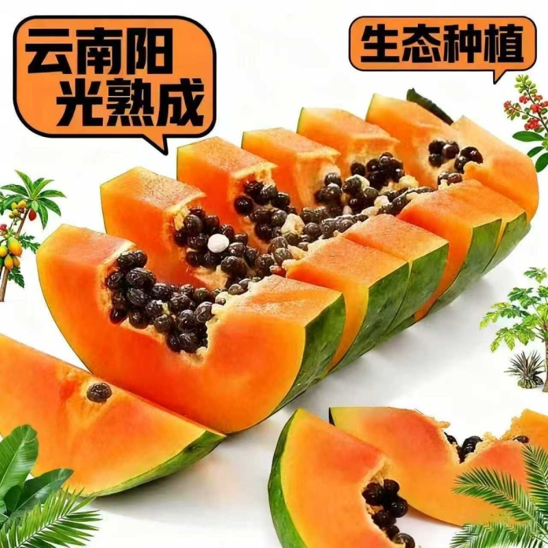 云南精品木瓜红心木瓜承接全国电商平台一件代发