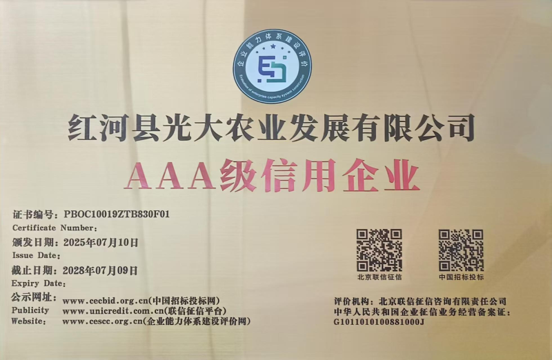 云南精品木瓜红心木瓜承接全国电商平台一件代发