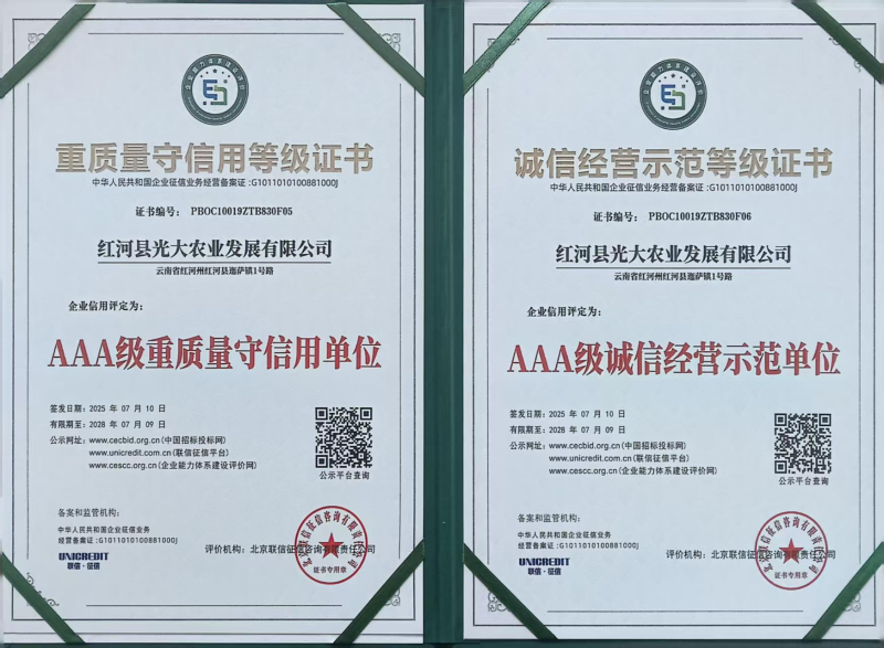 云南精品木瓜红心木瓜承接全国电商平台一件代发