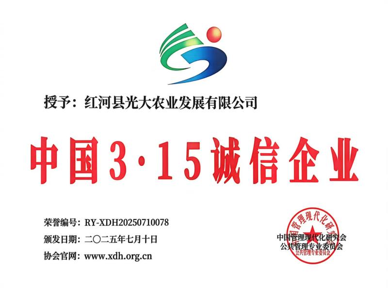 云南精品木瓜红心木瓜承接全国电商平台一件代发