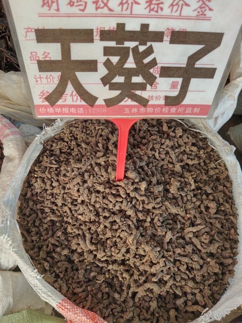 天葵子大货价35元/斤