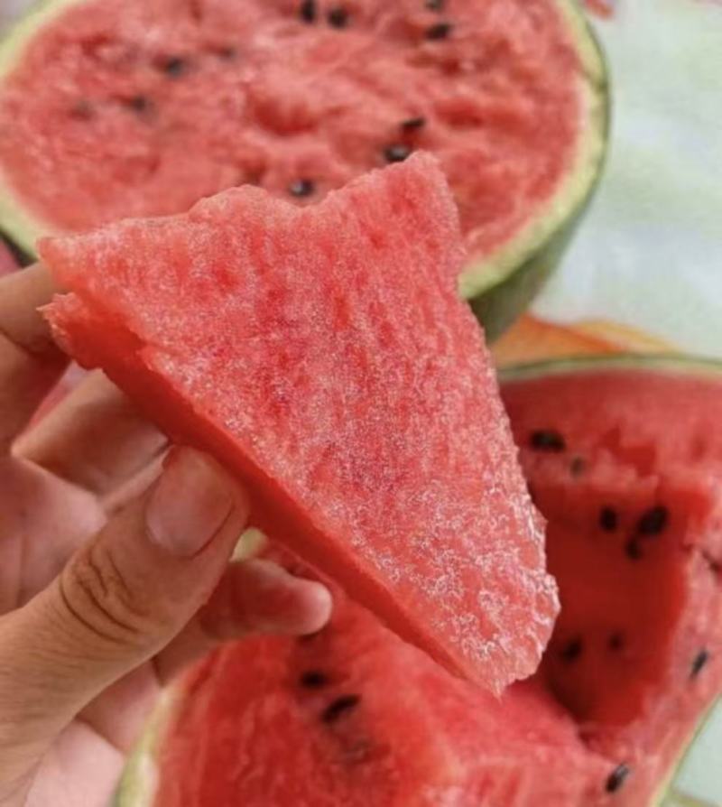 【热卖推荐】麒麟西瓜西瓜精品瓜品类齐全量大从优可对接