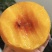 【实力推荐】武当仙桃黄桃产地知名桃子🍑品类齐全可对接