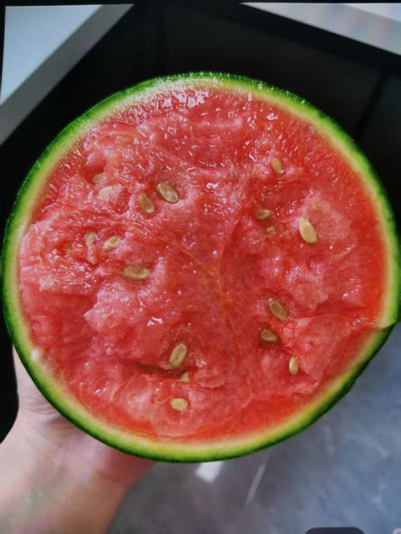 陕西蒲城小糖丸西瓜小吊篮瓜手剥皮西瓜实力代发全国商超