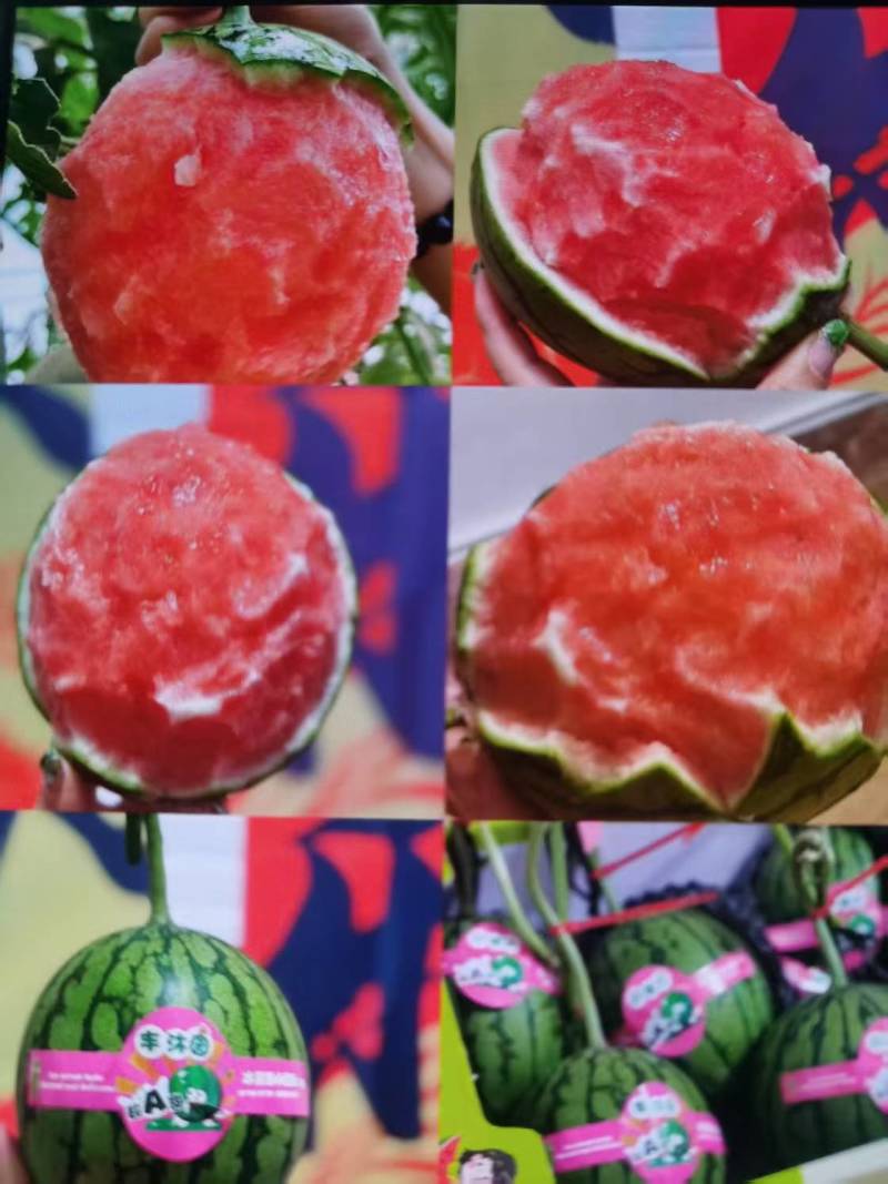 陕西蒲城小糖丸西瓜小吊篮瓜手剥皮西瓜实力代发全国商超