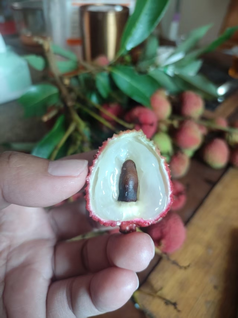 妃子笑荔枝，广东荔枝，规格齐全，量大从优，电联价格可谈