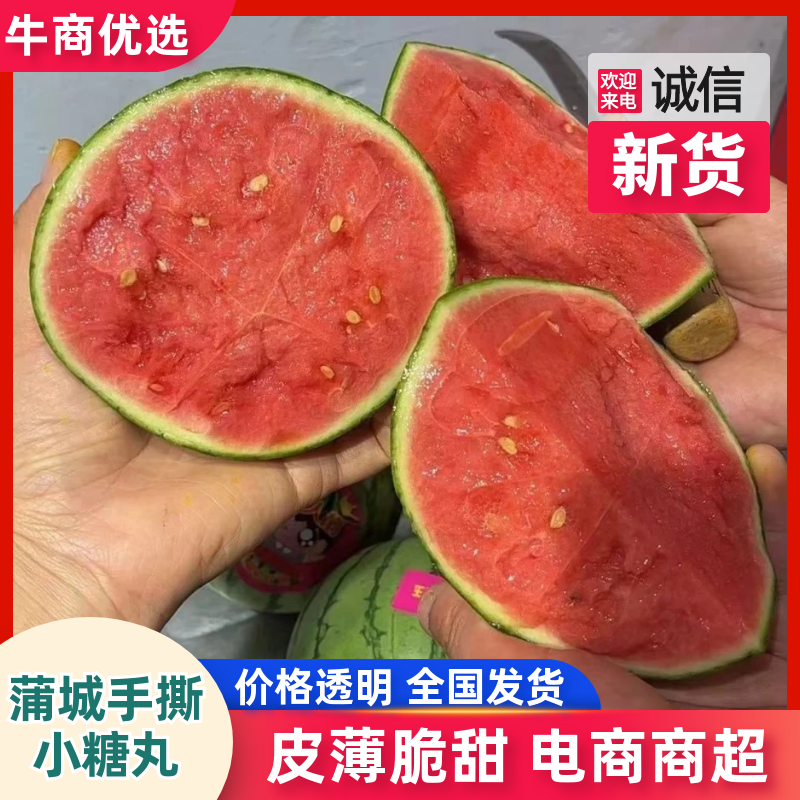 陕西蒲城小糖丸西瓜小吊篮瓜手剥皮西瓜实力代发全国商超