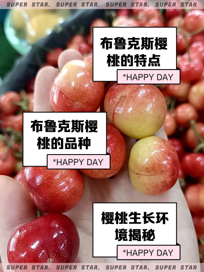 陕西布鲁克斯樱桃基地直发一手货源可视频看货