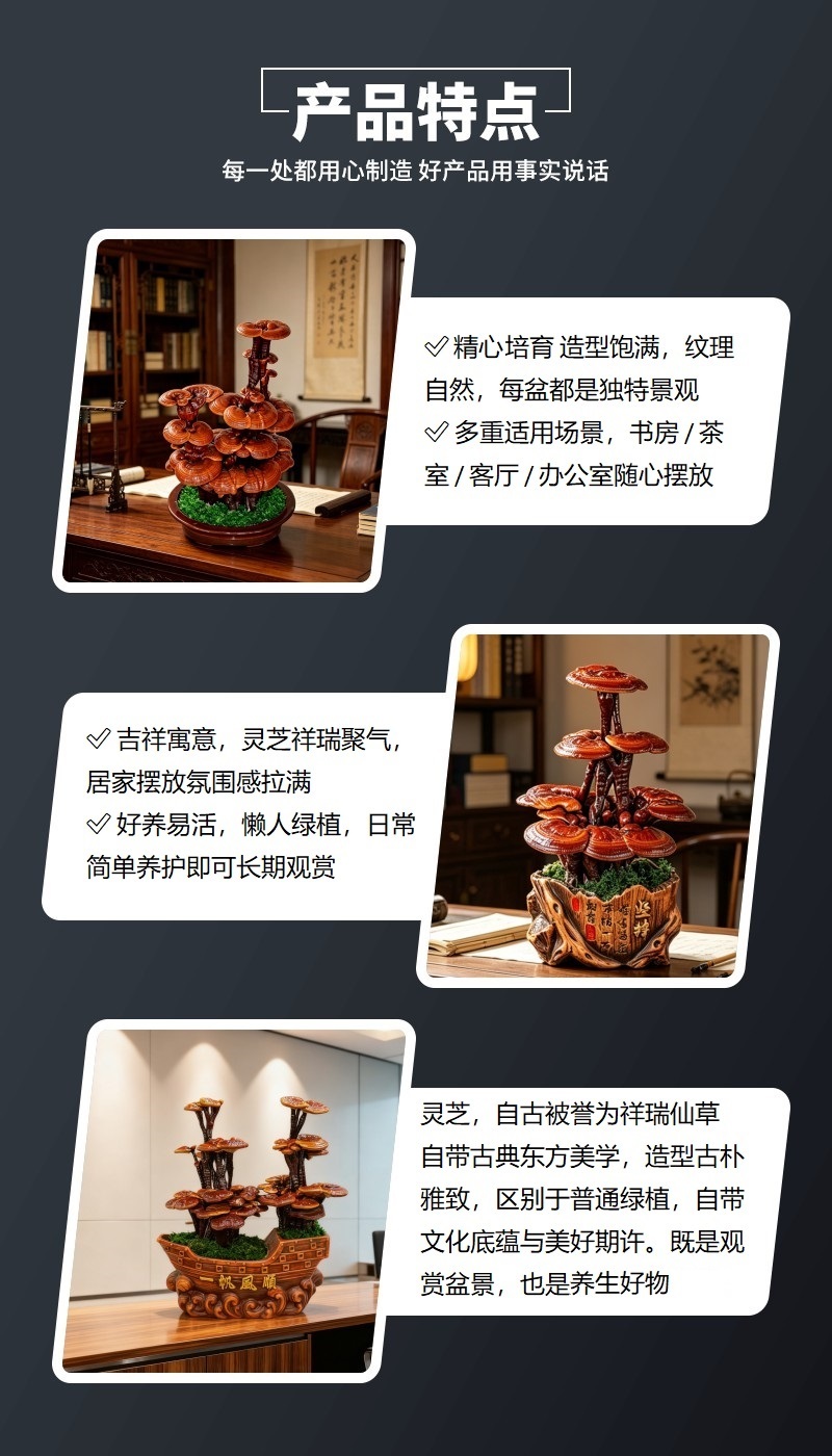 灵芝盆景批发活体嫁接中小型盆景灵芝摆件室内摆件