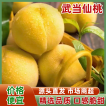 【实力推荐】武当仙桃黄桃产地知名桃子🍑品类齐全可对接