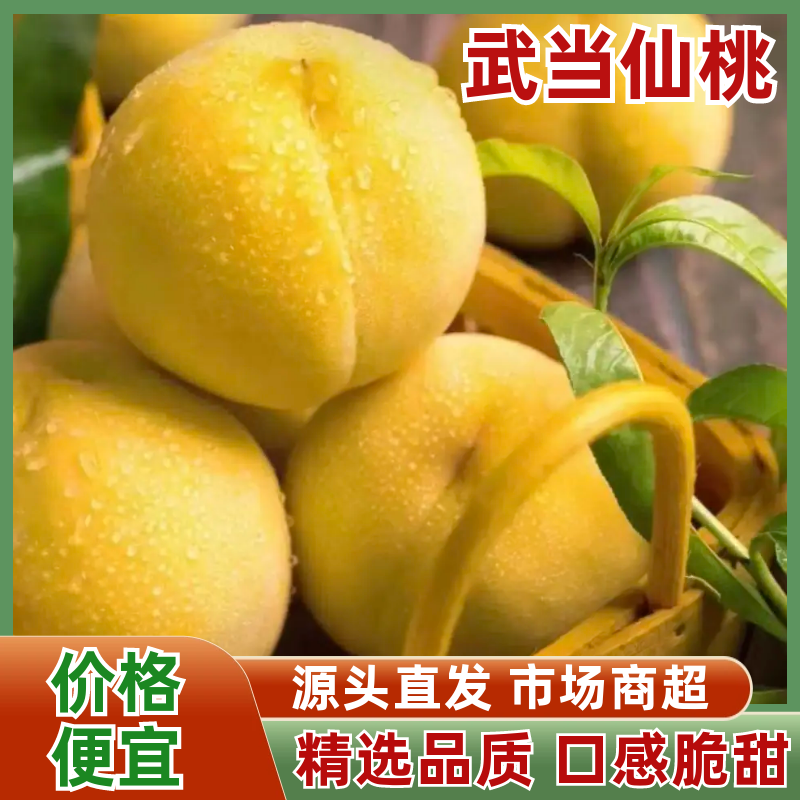 【实力推荐】武当仙桃黄桃产地知名桃子🍑品类齐全可对接