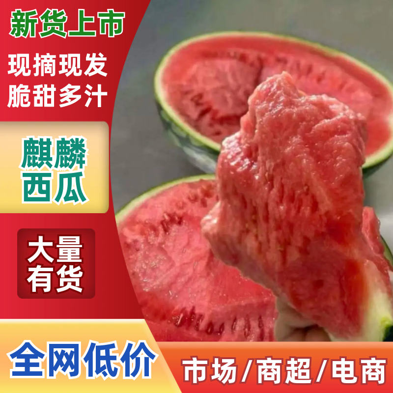 【热卖推荐】麒麟西瓜西瓜精品瓜品类齐全量大从优可对接