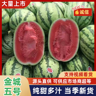 【精选】金城五号西瓜精品西瓜好吃不贵品质保障欢迎采购