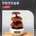 批发中型灵芝盆景活体嫁接观赏盆景灵芝灵芝盆景厂家