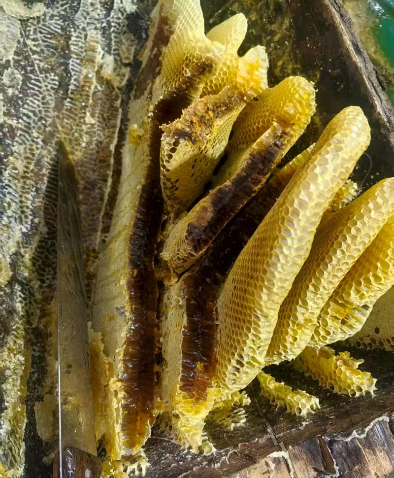 《百花蜜土蜂蜜》专业养蜂二十年，货真价实，假一赔十
