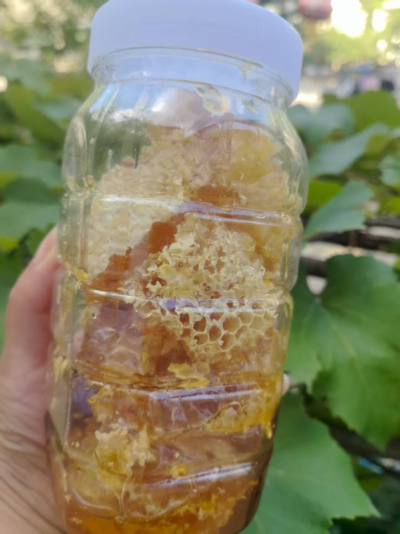 《百花蜜土蜂蜜》专业养蜂二十年，货真价实，假一赔十