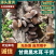 甘肃黑木耳干货，货量充足高泡发质量保证可供电商商超