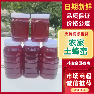 甘肃农家土蜂蜜自产自销货源稳定可批发零售欢迎随时联系