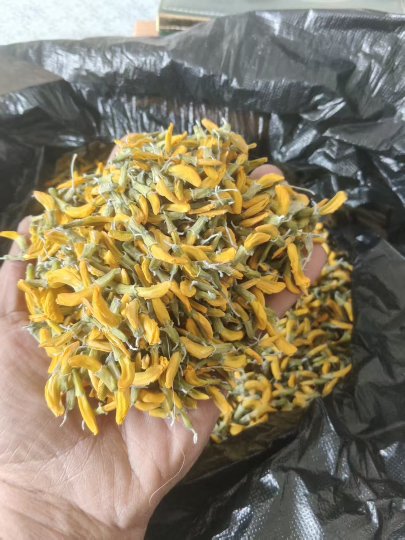 青海野生柠条花金雀花质量保证营养价值高全国包邮发货