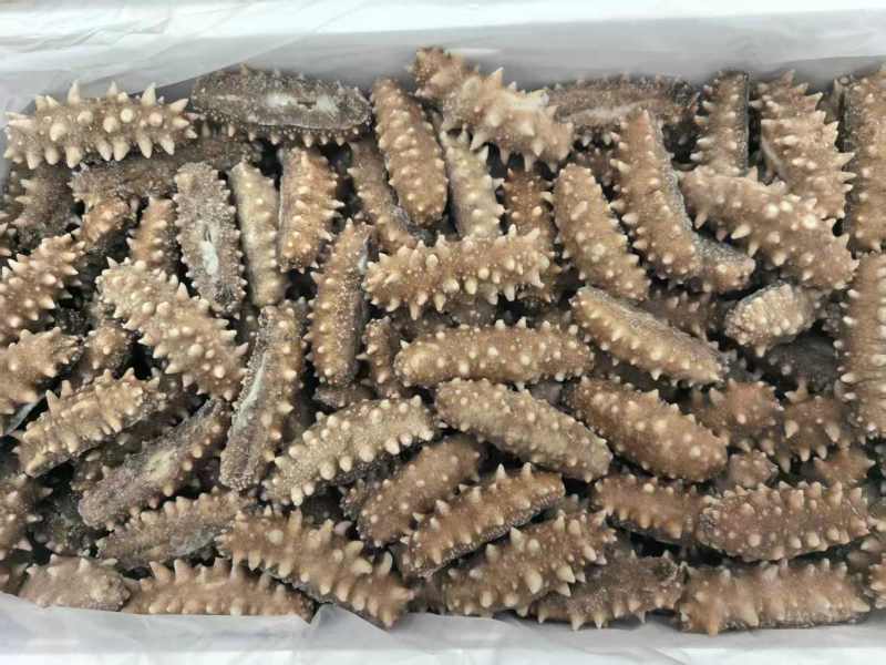 即食海参/山东海参基地直供量大从优对接超市电商批发市场
