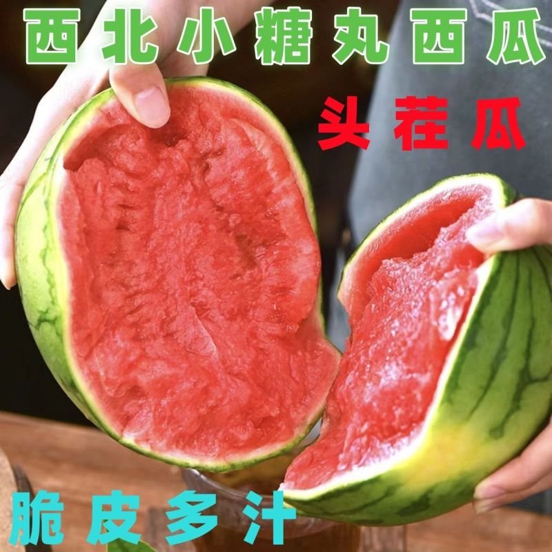 小糖丸西瓜产地直发支持一件代发
